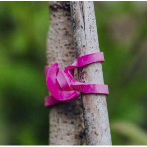 Fair Zone - Plantebinder i naturgummi 100 stk. 