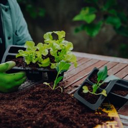 Fair Zone - Genanvendelig sbakke i naturgummi - 3 stk. single Celler