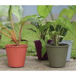 Fair Zone - Urtepotter af naturgummi 6-pak