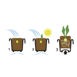 Fair Zone - Genanvendelig sbakke i naturgummi - 4 Celler