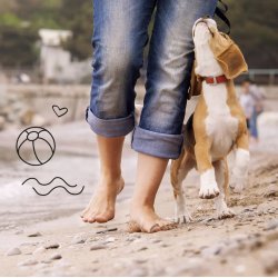 The Sustainable People - Hundeposer 20x35 cm - Recycling 